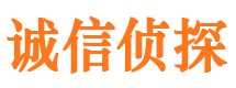 衡阳外遇出轨调查取证